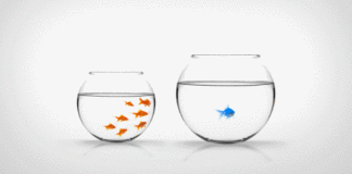 Ausländische Investoren (© fotolia/hussainkin)