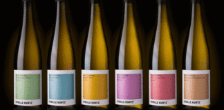 Mit Wein fing alles an: Winzerin Sybille Kuntz zahlt damit Genussrechte aus (© Sybille Kuntz Weingut)