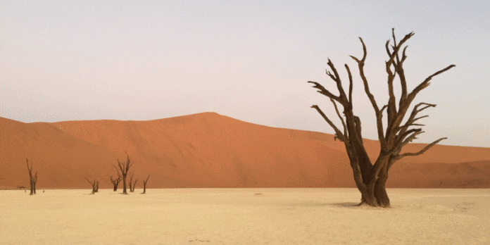 Keine Finanzierung weit und breit? Die Hausbank kann beim Markteintritt in Afrika helfen (© fotolia/Victoria Lipov)