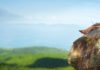 Allein auf weiter Flur: Laut DIHK sind gute Gründer derzeit schwer zu finden (© fotolia/Dudarev Mikhail)