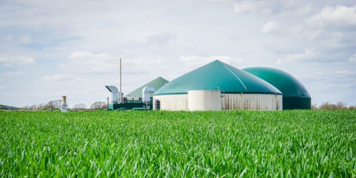 Biogas-Anlage: Immer mehr Betreiber sind auf eine Bewertung angewiesen (© fotolia/countrypixel)