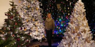 Christbäume zum Mieten: Anke Ohlenhoff macht Weihnachten leicht.