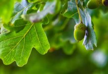 Bewegung im DPE-Portfolio Bewegung im DPE-Portfolio