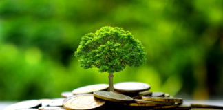 Das Thema Nachhaltigkeit ist in der Unternehmensfinanzierung angekommen. CFOs und Treasury-Abteilungen greifen das Thema aktiv auf.