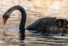 Sell in May & go away? – Better stay!