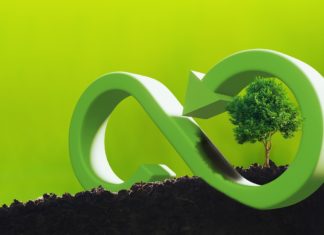 Immer mehr junge deutsche Unternehmen investieren in Kreislaufwirtschaft