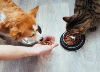 BayBG investiert in F&F Pet Food