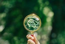 Mit Impact investieren für langfristigen Erfolg