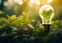 Text betont, warum Unternehmer die Natur als Vermögenswert betrachten sollten, insbesondere am Beispiel des deutschen Waldes.