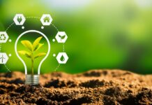 NRW.BANK veröffentlicht neue Nachhaltigkeitsstrategie Die NRW.BANK hat ihre neue Nachhaltigkeitsstrategie veröffentlicht, mit dem Ziel, bis spätestens 2045 klimaneutral zu agieren.