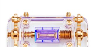 Die Thora Elektronik GmbH, ein etablierter Anbieter von elektronischen Komponenten, hat ihre Nachfolge erfolgreich geregelt.