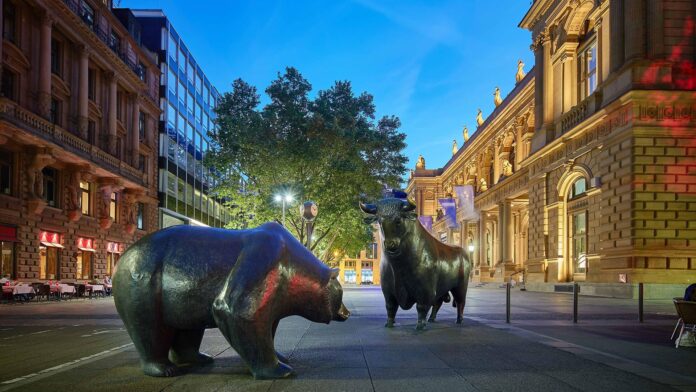 bulle-und-baer-bei-nacht