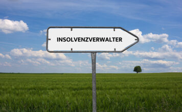 Weniger Insolvenzverwalter trotz zunehmend komplexer Krisen? Insolvenz, Wirtschaftskrise
