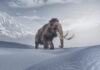 Mammut geht an chinesischen Investor CPE