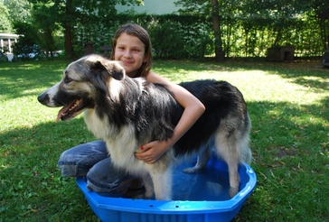 Auch andere tiergestützte Therapien sind Programmbestandteil der Horst Rohde Stiftung, u.a. die Arbeit mit Hunden bei traumatisierten Kindern. Bild: Horst Rohde Stiftung